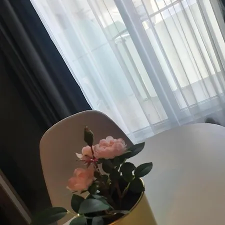 Apartment Diamond Luxury